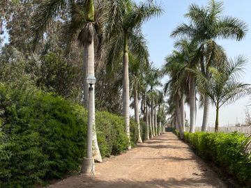 Terreno en venta en Quilmaná – Tu refugio ideal en el Valle de Cañete