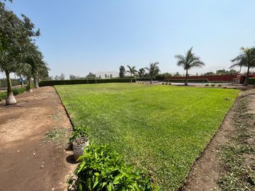 Terreno en venta en Quilmaná – Tu refugio ideal en el Valle de Cañete