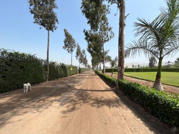 Terreno en venta en Quilmaná – Tu refugio ideal en el Valle de Cañete