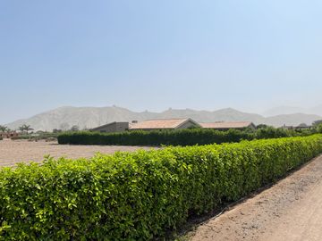 Terreno en venta en Quilmaná – Tu refugio ideal en el Valle de Cañete