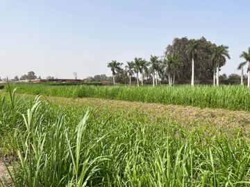 Terreno en venta en Quilmaná – Tu refugio ideal en el Valle de Cañete