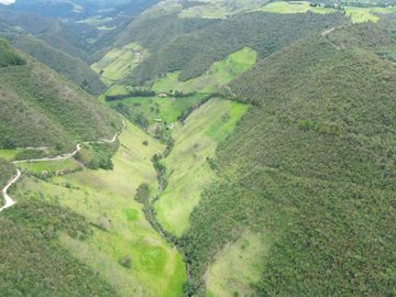 Hacienda en venta cuenta con 14.5 hectáreas.