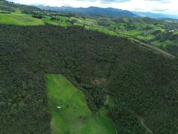 Hacienda en venta cuenta con 14.5 hectáreas.