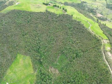 Hacienda en venta cuenta con 14.5 hectáreas.