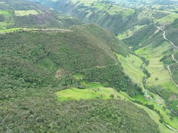 Hacienda en venta cuenta con 14.5 hectáreas.