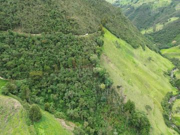 Hacienda en venta cuenta con 14.5 hectáreas.
