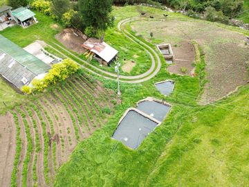 Hacienda en venta cuenta con 14.5 hectáreas.