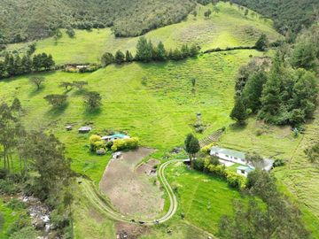 Hacienda en venta cuenta con 14.5 hectáreas.