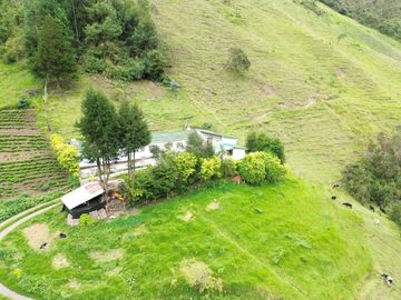 Hacienda en venta cuenta con 14.5 hectáreas.