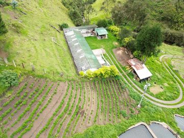 Hacienda en venta cuenta con 14.5 hectáreas.