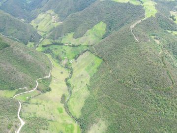 Hacienda en venta cuenta con 14.5 hectáreas.