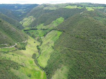 Hacienda en venta cuenta con 14.5 hectáreas.