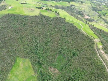Hacienda en venta cuenta con 14.5 hectáreas.