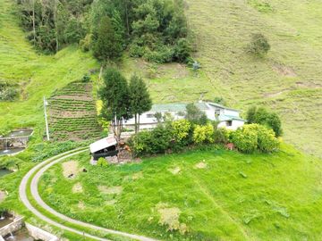 Hacienda en venta cuenta con 14.5 hectáreas.