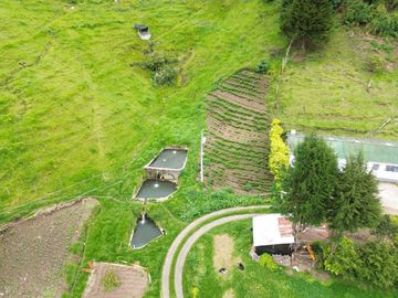 Hacienda en venta cuenta con 14.5 hectáreas.