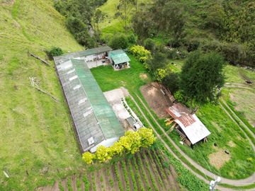 Hacienda en venta cuenta con 14.5 hectáreas.
