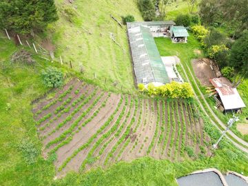 Hacienda en venta cuenta con 14.5 hectáreas.