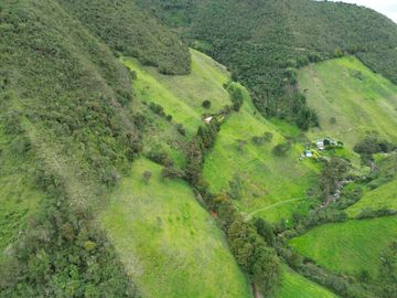 Hacienda en venta cuenta con 14.5 hectáreas.