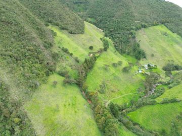 Hacienda en venta cuenta con 14.5 hectáreas.