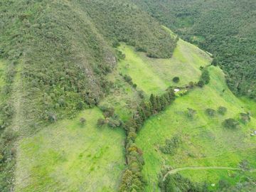 Hacienda en venta cuenta con 14.5 hectáreas.
