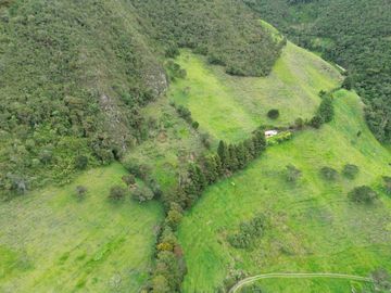 Hacienda en venta cuenta con 14.5 hectáreas.