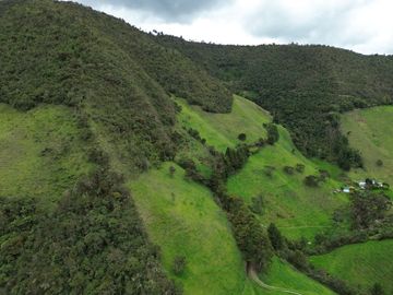 Hacienda en venta cuenta con 14.5 hectáreas.
