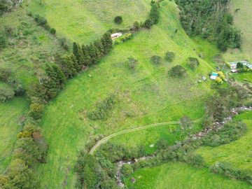 Hacienda en venta cuenta con 14.5 hectáreas.