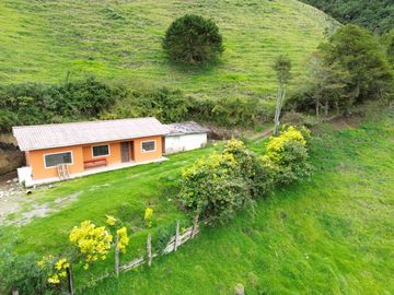 Hacienda en venta cuenta con 14.5 hectáreas.