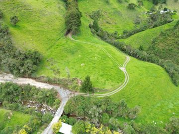 Hacienda en venta cuenta con 14.5 hectáreas.