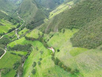 Hacienda en venta cuenta con 14.5 hectáreas.