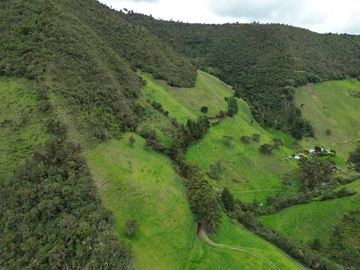 Hacienda en venta cuenta con 14.5 hectáreas.