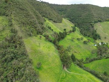 Hacienda en venta cuenta con 14.5 hectáreas.