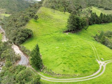 Hacienda en venta cuenta con 14.5 hectáreas.