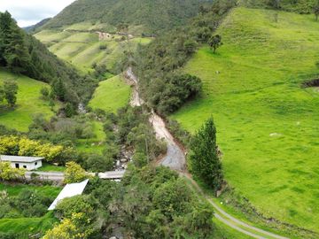 Hacienda en venta cuenta con 14.5 hectáreas.