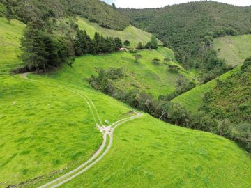 Hacienda en venta cuenta con 14.5 hectáreas.