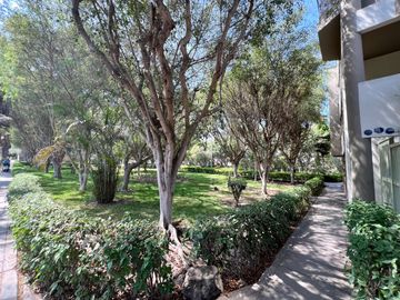 Departamento Remodelado En Venta