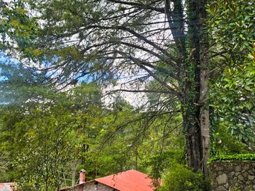 HUERTA SAN LUNES, HERMOSA PROPIEDAD EN VENTA