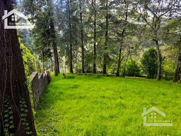 HUERTA SAN LUNES, HERMOSA PROPIEDAD EN VENTA