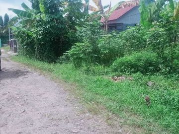 Tanah 3000 m Di Penancangan Dekat Tol Serang Timur