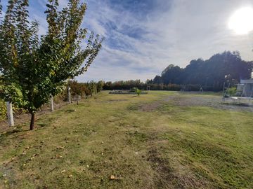 Venta Terreno 7.500 m2 y casa de 325 m2, Región del Maule