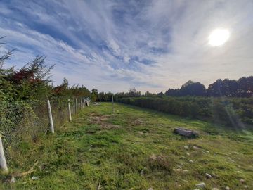 Venta Terreno 7.500 m2 y casa de 325 m2, Región del Maule