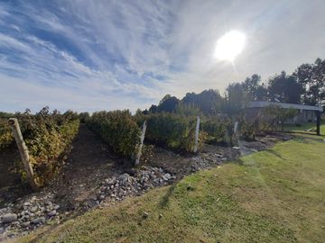 Venta Terreno 7.500 m2 y casa de 325 m2, Región del Maule