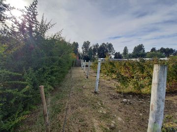 Venta Terreno 7.500 m2 y casa de 325 m2, Región del Maule