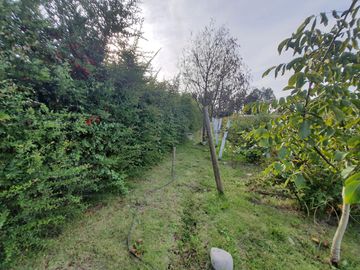 Venta Terreno 7.500 m2 y casa de 325 m2, Región del Maule