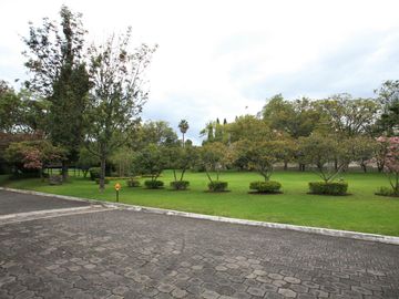 DE VENTA O RENTA — CONFORT Y NATURALEZA EN UNA UBICACIÓN PRIVILEGIADA