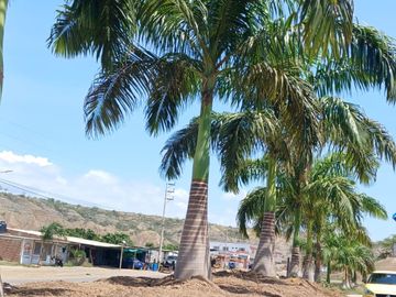 Terreno en Punta Sal