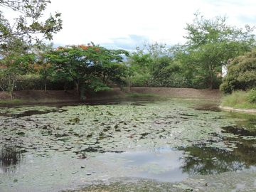 VENDO CASA EN ANAPOIMA