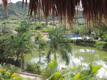 VENDO CASA EN ANAPOIMA