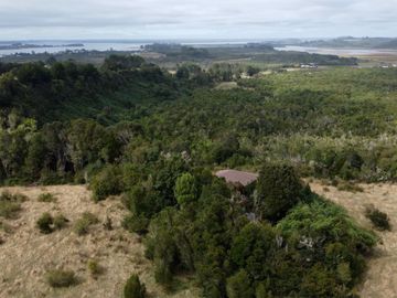 Campo en venta en Quenuir – Huapache – Maullín - Región de Los Lagos