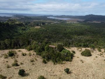 Campo en venta en Quenuir – Huapache – Maullín - Región de Los Lagos